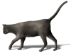Captcha image 1847
