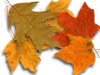 Captcha image 2330